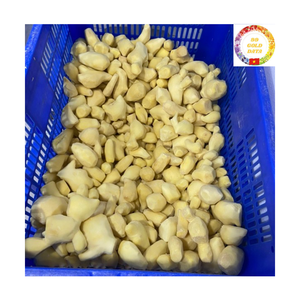 Cubes de gingembre surgelés biologiques IQF, entiers, pelés, épicés, racine de gingembre IQF, export en vrac fourni par l'usine du Vietnam - Product Image 6