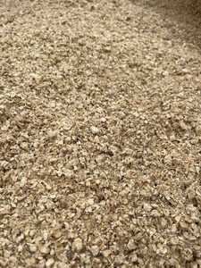 Espigas de Maíz Amarillo Secas al por Mayor para Alimento de Caballos, Cerdos y Peces - Grado Superior 25kg/Bolsa - Product Image 4