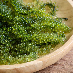Algues de mer fraîches, caviar vert, algues de mer du Vietnam - Product Image 1