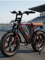 Fabricant en gros de vélos électriques UE, États-Unis, Afrique – Vélo électrique tout-terrain 20 pouces 750W à pneus larges, style cyclomoteur rétro, haute vitesse