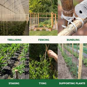 Ficelle de serre durable résistante aux UV Croissance optimale des plantes Support et treillis Emballage Cordes Couleur verte - Product Image 6