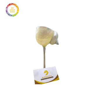 Verres à pied en coquille naturelle pour l'affichage de cocktails inspirés de l'océan Décoration artistique Curation Coastal Lifestyle Visual Merchandise - Product Image 1