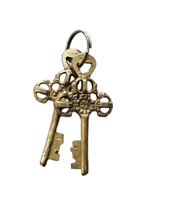 Cadenas à poisson en laiton de style antique Serrure de porte de meilleure qualité avec déverrouillage par clé Prix de gros du fabricant indien