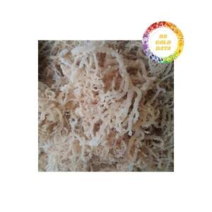 Algues cottonii séchées au soleil de haute qualité Ingrédient idéal pour les repas savoureux Collations saines et salades fraîches - Product Image 6