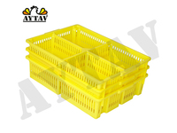 Boîte à poussins 4 compartiments pour fermes - Fond perforé - Matériau PP - Résistant aux températures (-5°C +80°C) - Nouveau en gros - 100 poussins