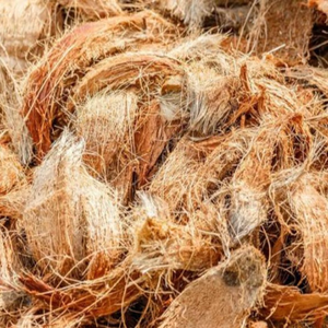 MATÉRIAU NATUREL EN FIBRE DE NOIX DE COCO DU VIETNAM - Product Image 2