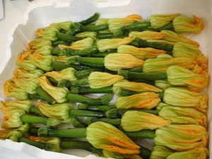 Toutes les fleurs de courge surgelées naturelles/fraîchement récoltées/idéales pour le service alimentaire et l'exportation - Product Image 3