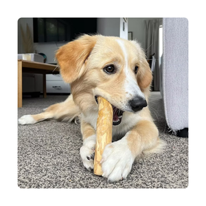 Jouet à mâcher pour chien en bois | Matériau écologique bon pour les dents et la formation | Prix de gros - Product Image 4
