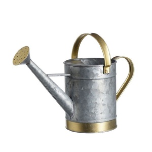 Vieux Argent Vintage Galvanisé Métal Arrosoir Rustique Jardin Pot D'eau Vintage Plante Arroseur Personnalisé Taille Forme Couleur - Product Image 5