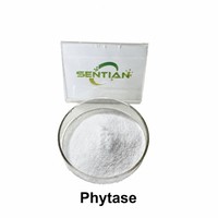 Poudre d'enzyme phytase de qualité alimentaire 10000 U/g pour l'alimentation des volailles et des porcs
