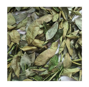 Feuilles de corossol séchées du Vietnam pour l'emballage en sachets de thé et de produits de thé en vrac - Product Image 4