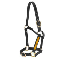 Licou de cheval en laiton massif de haute qualité Design de logo personnalisable Rembourrage en cuir véritable souple directement du fabricant