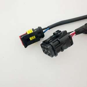 电动汽车混合电缆线束 EV 线束定制 DT04-2P 连接器 PVC 橡胶绝缘铜线 TUV - Product Image 3