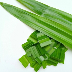 Hoja Pandan natural al mejor precio hojas Pandan verdes para pedidos a granel cosechados de Vietnam - Product Image 1