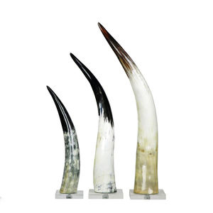 Décoration murale en corne de vache polie économique Corne de bœuf de buffle montée de luxe Accessoires de décoration intérieure Style animal - Product Image 2
