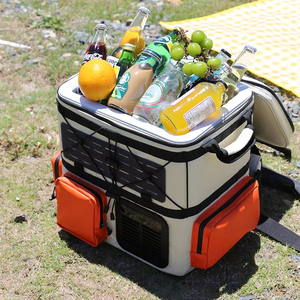 <span class=keywords><strong>Nevera</strong></span> Portátil de 12/24 V CC, 110/240 V CA, Alimentada por Batería, <span class=keywords><strong>Mochila</strong></span> Refrigeradora para Acampar - Product Image 1