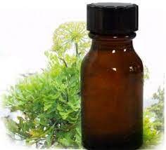 Fabricant en gros, huile essentielle de galbanum de qualité thérapeutique en vrac à bon prix, huile essentielle de galbanum 100% pure - Product Image 2