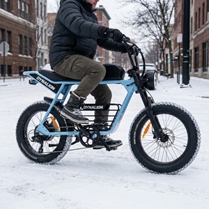 Bicicletta Elettrica Speciale con Pneumatici Larghi e Portapacchi Multifunzione, <span class=keywords><strong>Bici</strong></span> Elettrica da Esterno per Campeggio, Pendolarismo e Trasporto Attrezzature - Product Image 2