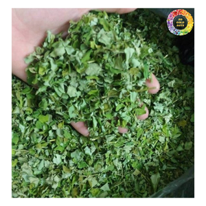 Venta al por mayor de té de hierbas de Moringa a granel, proveedor de hojas secas de Moringa oleifera de alta calidad, hojas de Moringa sueltas de té de hierbas en venta - Product Image 6