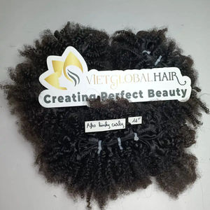 Perruque afro crépus bouclés, perruque cheveux humains, cheveux à cuticules alignés, cheveux vietnamiens bruts - Product Image 1