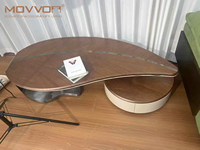 Table basse ovale en bois MOVVON, table d'appoint moderne, table centrale en acier inoxydable, meubles pour la maison