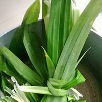 Meilleur Prix Pandanus frais naturel congelé laisser dans l'emballage sous vide