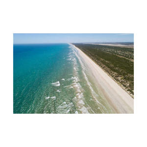 Beech Long offre une vente en gros de haute qualité de bûches de bois pour tous les types de projets en bois - Product Image 2