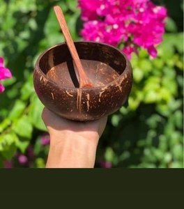 ชามกะลามะพร้าวสวยงาม - การผสมผสานความงามของธรรมชาติและฝีมือของช่างฝีมือจากเวียดนาม - Product Image 4