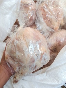 Pollo entero congelado al por mayor para supermercados, restaurantes y distribuidores - Product Image 4