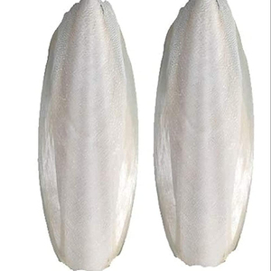 HOT DEAL 2024/ TOP EXPORTATION DES OS DE SEICHE MEILLEUR PRIX DU VIET NAM - Product Image 1