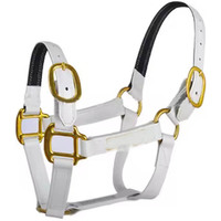 Harnais et collier de tête rembourrés en cuir véritable pour cheval, réglables et durables, avec couverture de cheval