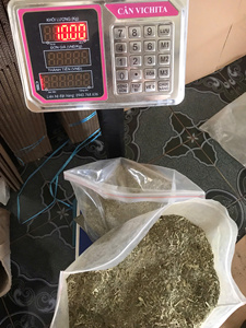 Poudre de Catnip Naturelle Fine pour Apaiser les Émotions des Chats, Réguler le Transit Intestinal, Friandises pour Chats, Catnip pour Chats du VIETNAM HOANG LINH SG - Product Image 3