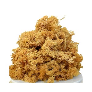 Wildcrafted <b>raw</b> superfood Irish <b>Moss</b>/ <b>Sea</b> <b>Moss</b> Eucheuma Cottonii 2025 - Product Image 2