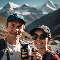 Compléments alimentaires à base de Shilajit de l'Himalaya 100 % pur certifiés HACCP, paquet de 20 capsules séchées au soleil de 18 000 FTS, 60 capsules pour le soutien immunitaire