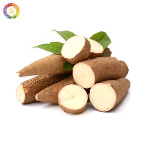 มันสำปะหลังแช่แข็งปอกเปลือกทำความสะอาดบรรจุในกล่องสำหรับการส่งออก - Product Image 1