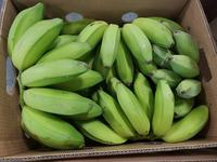 Premium Groene Siam Bananen Exporteren Kwaliteitsnorm, Natuurlijk Geoogst, Groothandel In Grote Hoeveelheden