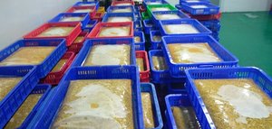 น้ำเชื่อมน้ำผลไม้ปราศจากน้ำตาลเสาวรสเข้มข้น - Product Image 2