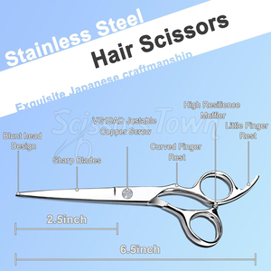 Ciseaux de coiffeur en acier inoxydable de haute qualité avec logo personnalisé, poignée durable et lames de coupe de précision - Product Image 2