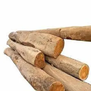 Timber Lumber poles logs