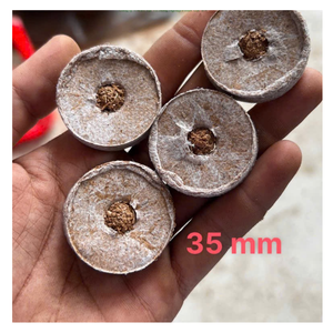 Coir Jiffy NATURAL EDGE: พีทมะพร้าวมะพร้าวเม็ดมะพร้าวจากเวียดนามสำหรับการเพาะปลูกพืชได้อย่างง่ายดายและการเพาะปลูกแบบยั่งยืน - Product Image 2