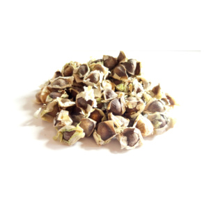 Graines de Moringa à longue durée de conservation et de qualité constante - Product Image 5