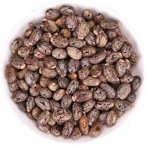 100% Natural And Pure Castor <b>Seeds</b> Cleaned & Dried OEM <b>Packaging</b> Available - Product Image 5