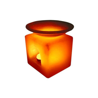 Élevez votre espace avec la lampe aromatique au sel de l'Himalaya avec une petite plaque pour la diffusion d'huile
