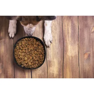 Ciotola Pieghevole Ecologica per Cani Vurex, Utensile da Campeggio - Product Image 2