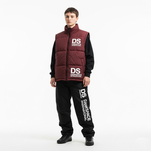 Meilleure vente Gilet bouffant en toile sans manches pour hommes avec col montant fermeture à glissière respirant vêtements d'extérieur d'hiver à bas prix - Product Image 2