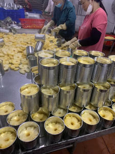 Ananas Fruits en conserve à vendre Service alimentaire Ananas frais en conserve Fruits au meilleur prix Sirop d'ananas en conserve Fruits Viet Nam - Product Image 5