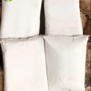 Fábrica de leche de coco congelada Producto de coco natural de calidad de exportación de Vietnam para la industria alimentaria Suministro al por mayor a granel B2B - Product Image 6