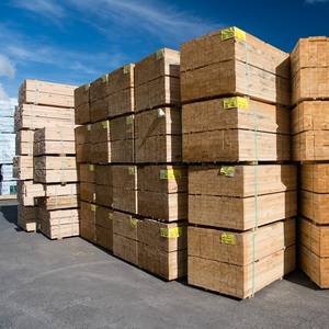 Proveedores de Madera Secada en Horno de Roble, Arce, Cedro y Pino que Ofrecen Tablas de Madera Dura, Tablas de Madera para Paneles, Madera Aserrada y Tablones de Madera - Product Image 2