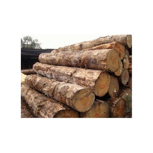 Troncos de madera de pino seca de alta calidad, precio al por mayor a granel, asno blanco Kay, leña, sierra de pino, troncos de madera de pino - Product Image 4