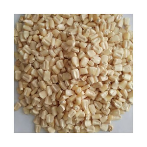 High-quality white maize for sale in bulk secure your order today - Product Image 1